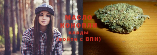 шишки Лабытнанги