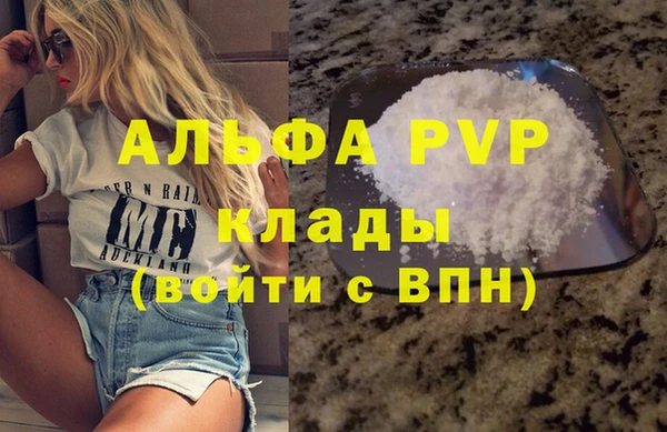 шишки Лабытнанги