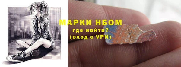 шишки Лабытнанги