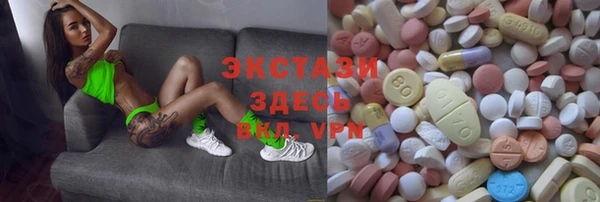 шишки Лабытнанги