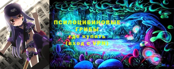 шишки Лабытнанги