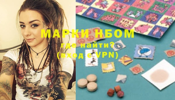 шишки Лабытнанги