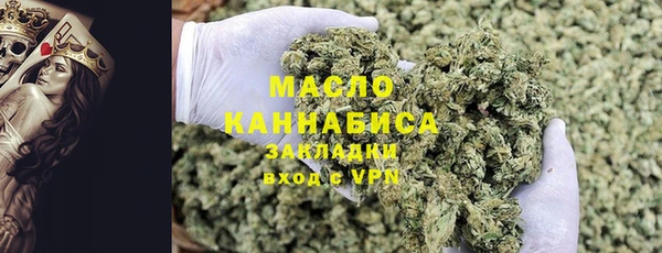 шишки Лабытнанги