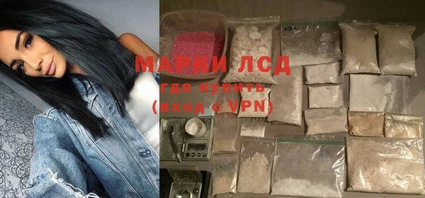 шишки Лабытнанги