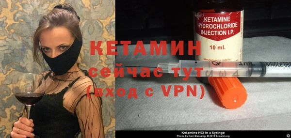 шишки Лабытнанги