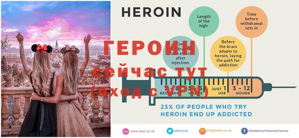 шишки Лабытнанги
