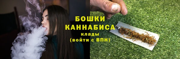 шишки Лабытнанги