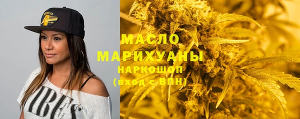 шишки Лабытнанги