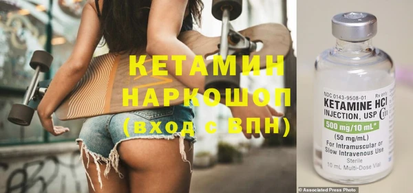 шишки Лабытнанги