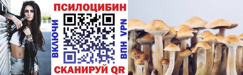 Купить  Тобольск  Галлюциногенные грибы прущие грибы 