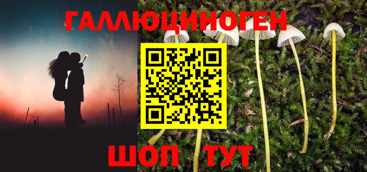 Тобольск  Галлюциногенные грибы MAGIC MUSHROOMS  Вход с VPN 