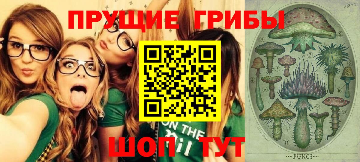 Псилоцибиновые грибы прущие грибы Тобольск