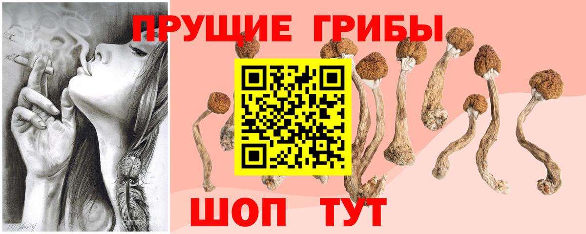 Галлюциногенные грибы Cubensis  Вход с VPN  Тобольск 